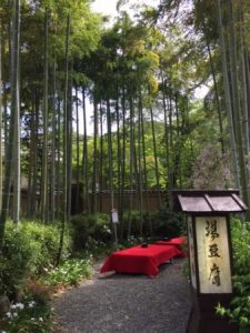 bamboo garden