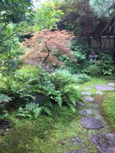 Japanese garden in Arashiama