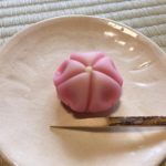 sakura Japanese sweets wagashi