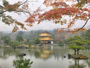 Kinkakuji temple in autumn